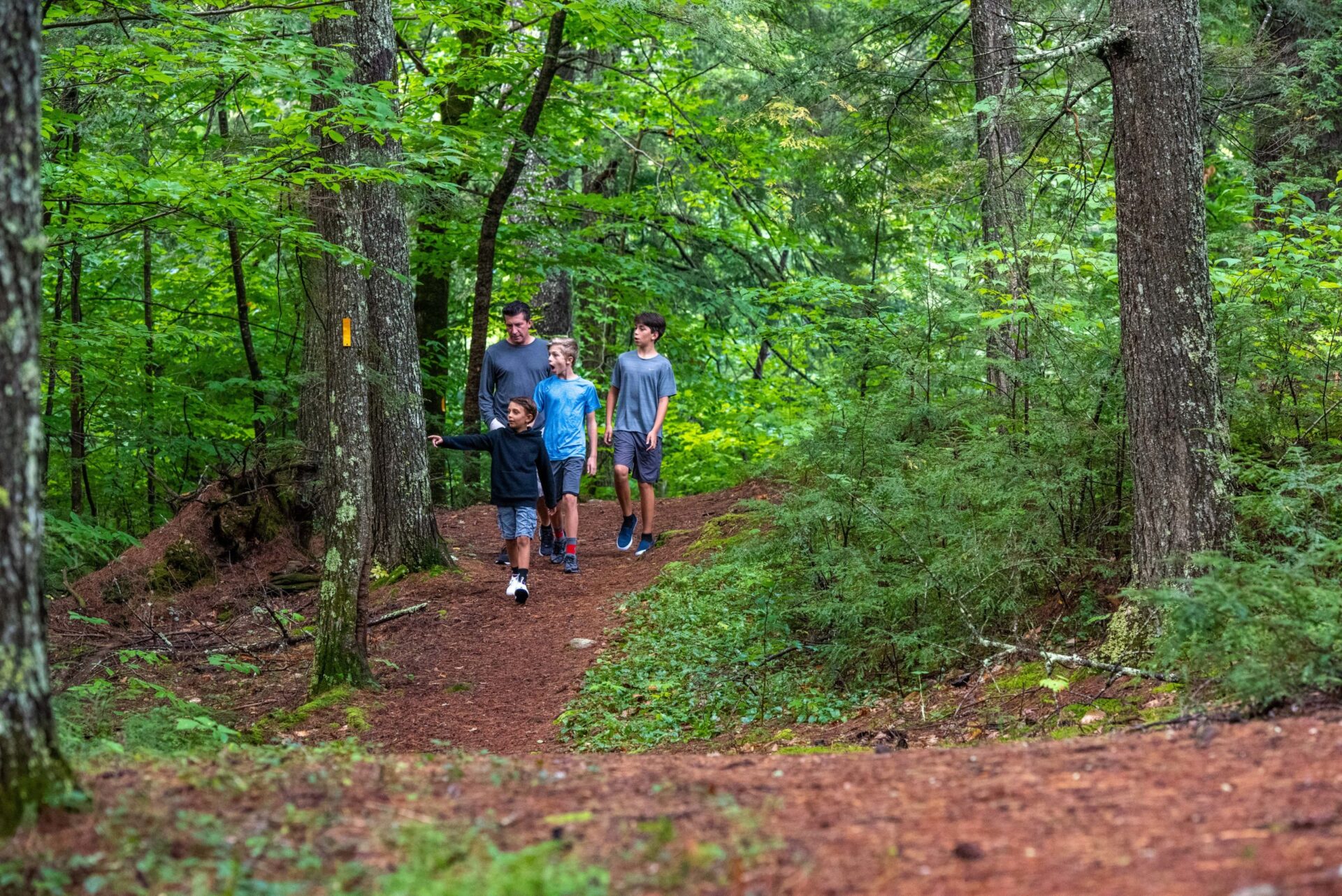 Terrific Hiking Trails