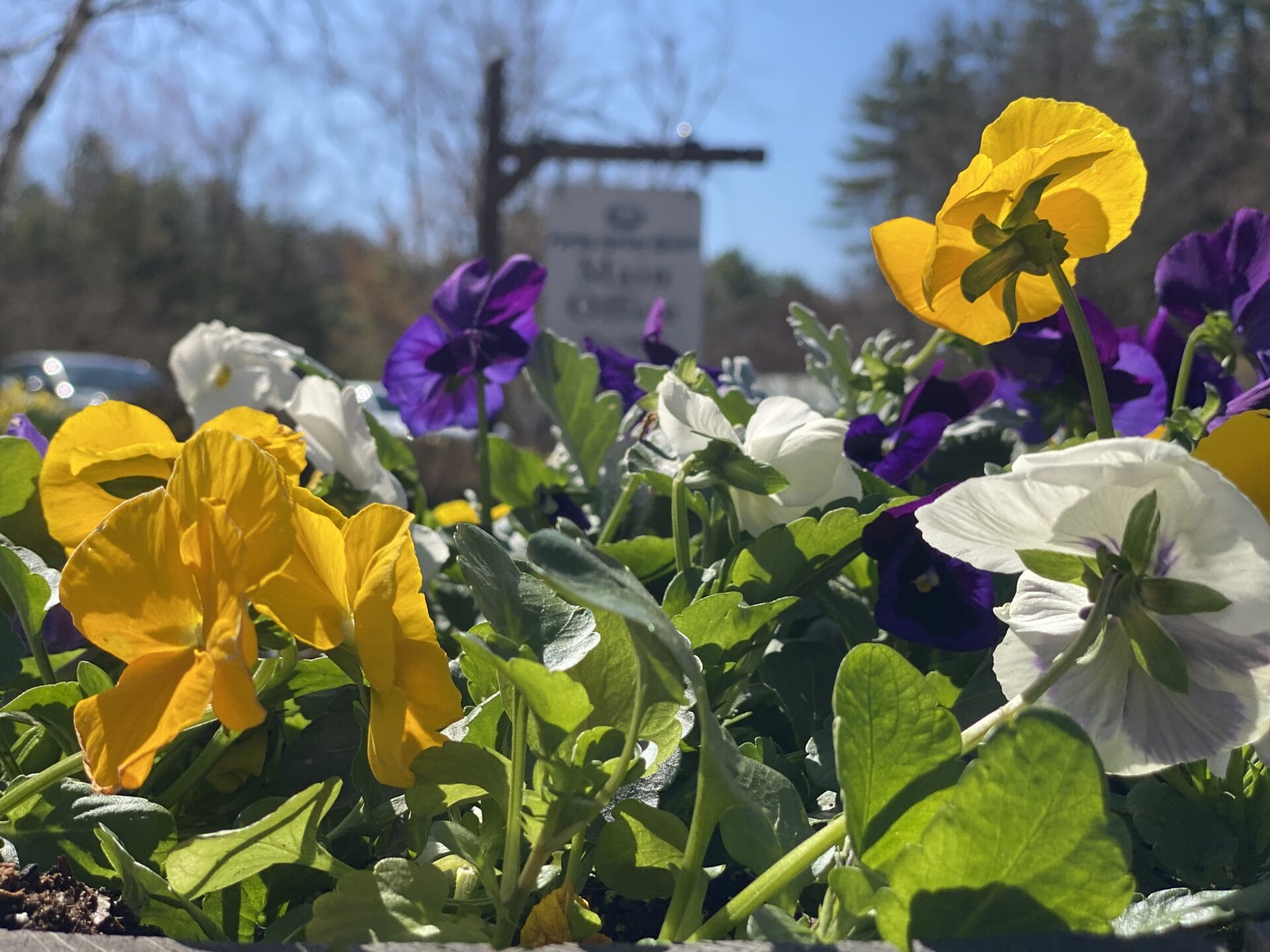 Spring Midweek Special