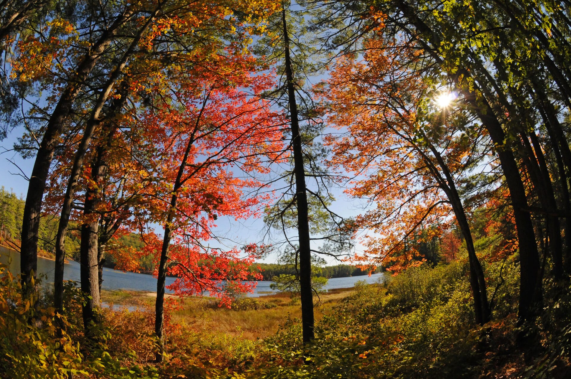 Explore Purity Spring’s Year-Round Activities